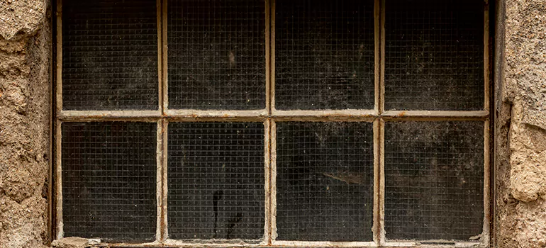 Traditional Double Front Doors in Cocoa, FL