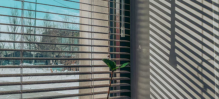 Commercial Window Blinds in Cocoa, FL