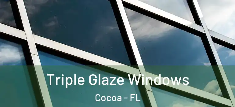  Triple Glaze Windows Cocoa - FL